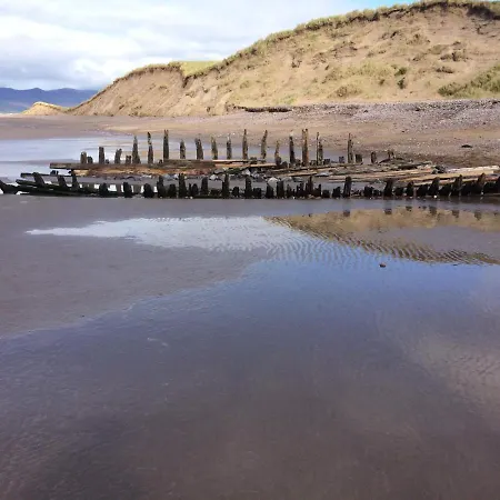 Driftwood *